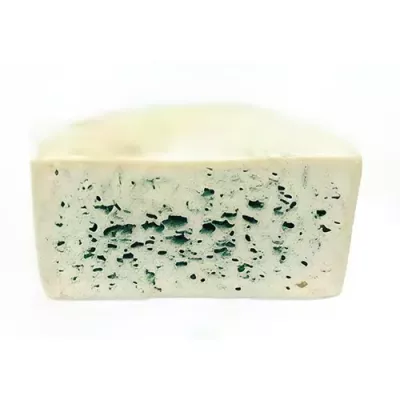 Bleu d'Auvergne Raw Milk PDO