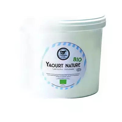 Natural Yogurt Organic