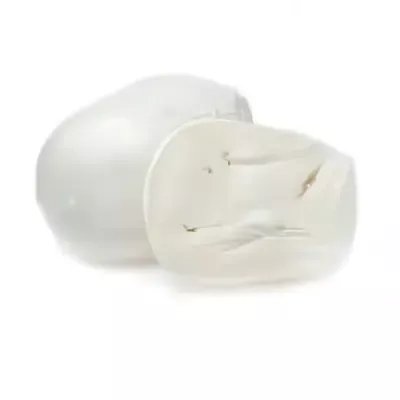 Fiordilatte Mozzarella for Pizza