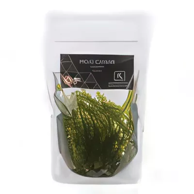 Moai Caviar