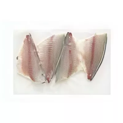 Sea Bream Fillet