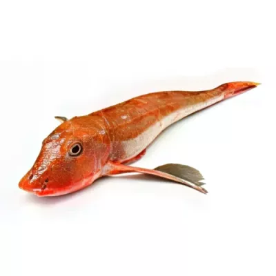 Gurnard or Capone
