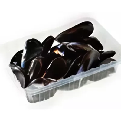 Cleaned Mussel