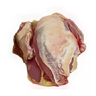 Hunted pheasant forequarter