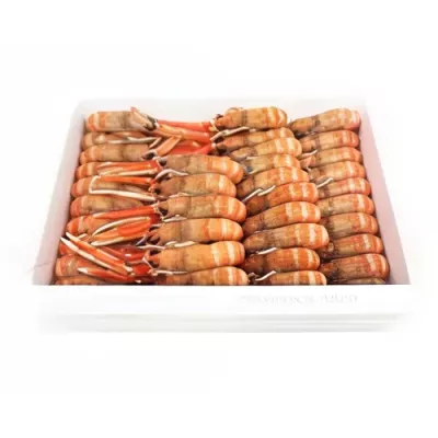 Frozen Langoustines
