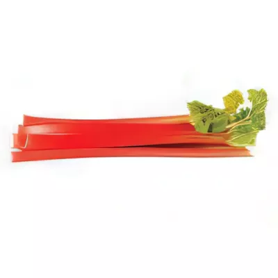 Red rhubarb (Rheum rhabarbarum)