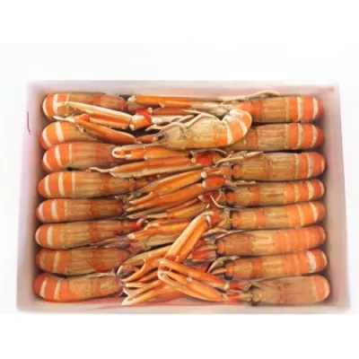 Frozen Langoustines