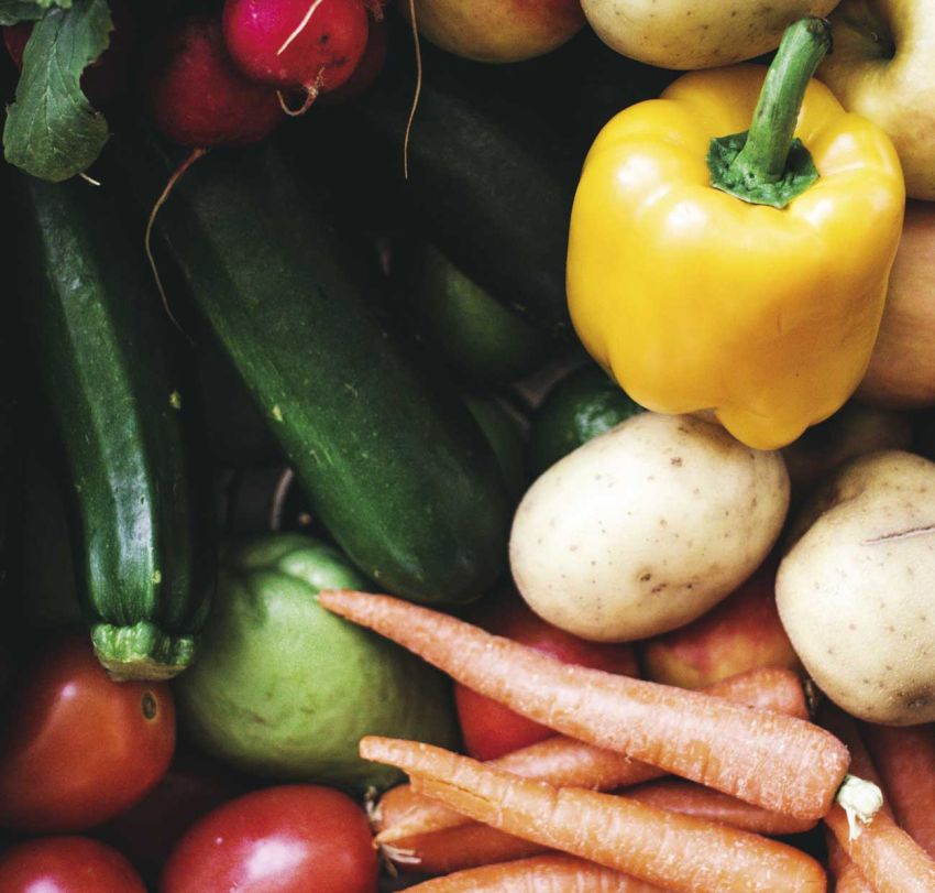 ER Excellence Supplier Fruit & Vegetable